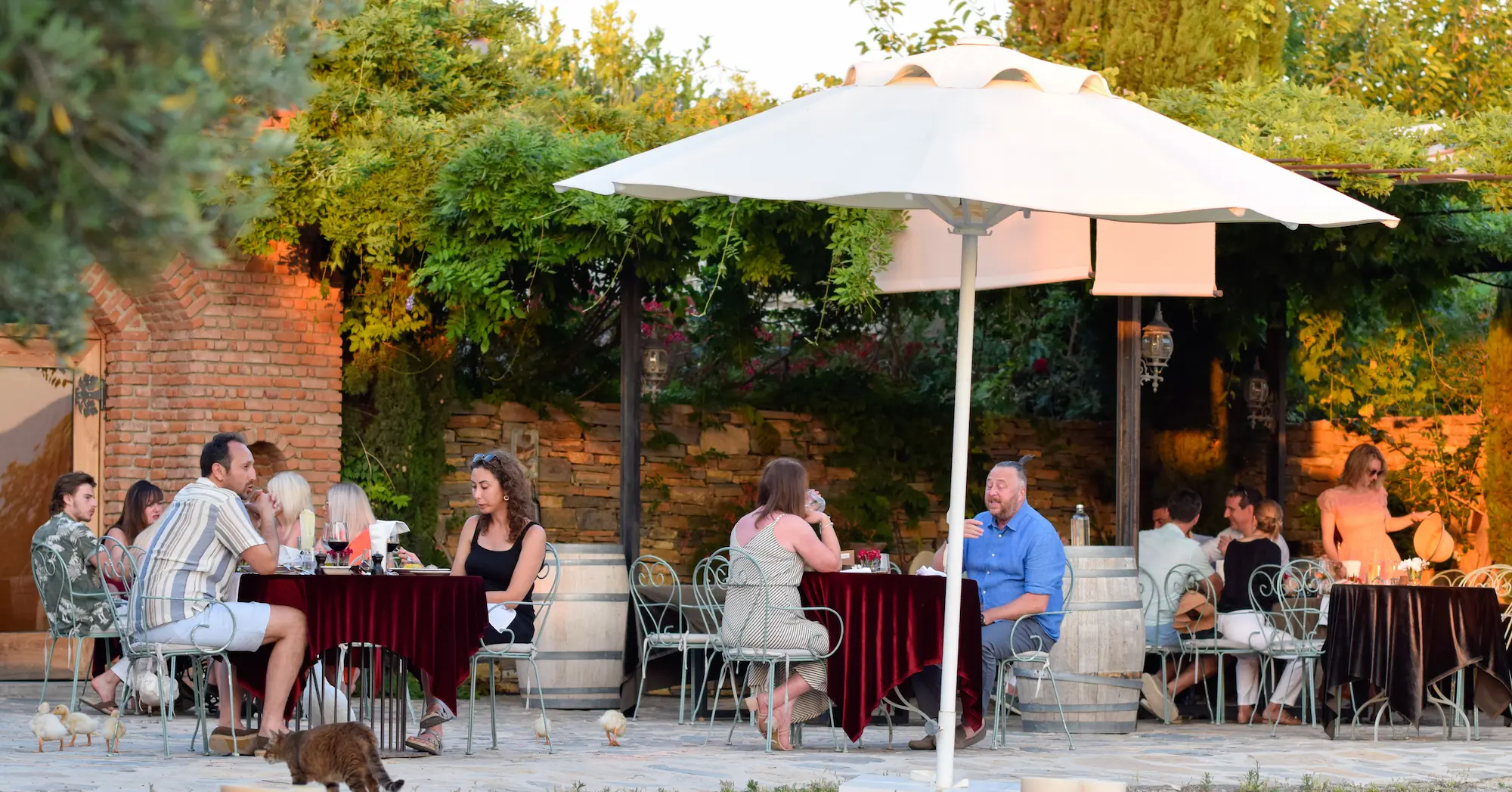 Eight-Course Chef's Menu at Karnas Vineyards