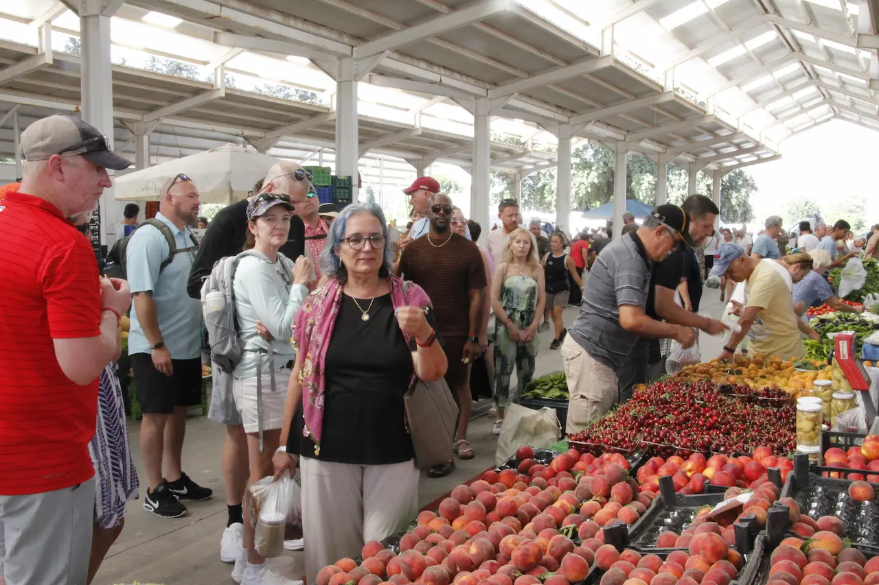 One-Day Cooking Classes
